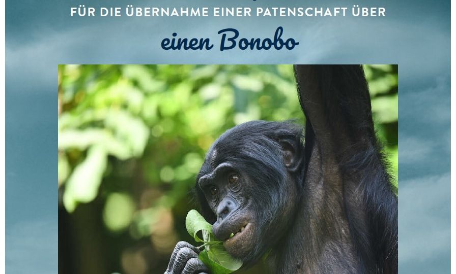 Patenbrief Kölner Zoo